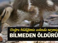 Ekmekle Öldürüyoruz…