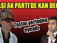 Ak Partide kan değişimi