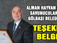 Hayva haklarına saygıdan ödül aldılar