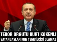 PKK, Kürt kökenli vatandaşlarımın temsilcisi olamaz