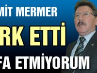 MERMER ÇARK ETTİ