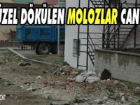 Molozlar can sıkıyor