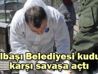 Belediye kuduza karşı savaş açtı