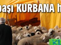 Gölbaşı Kurbana Hazır