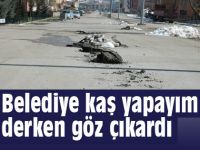 Kaş yapayım derken, göz çıkardı