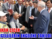 Bakan Çiçek Engellilerin engeline takıldı...