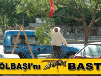 Gölbaşını Arılar Bastı